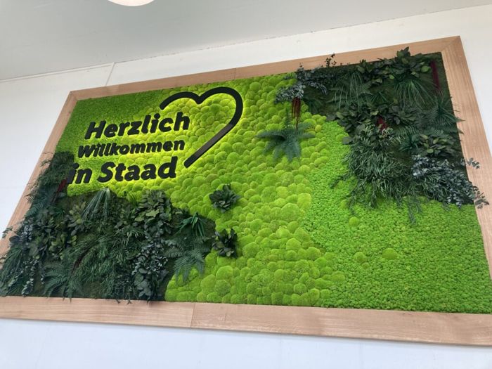 Moosbild Lidl Schweiz