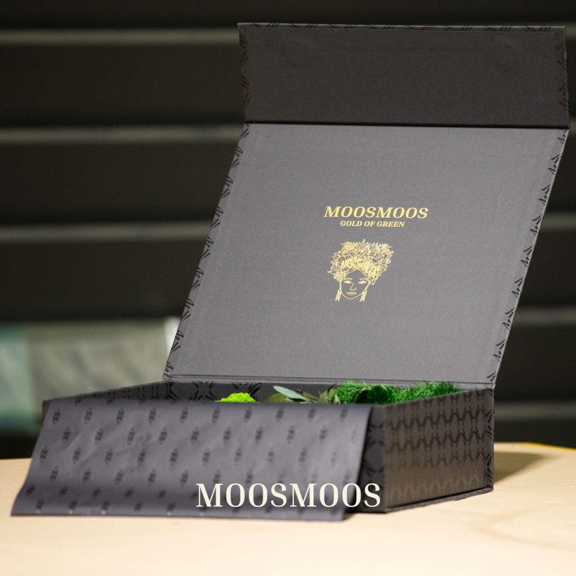 MOOSMOOS Musterbox mit echten Moos-Mustern